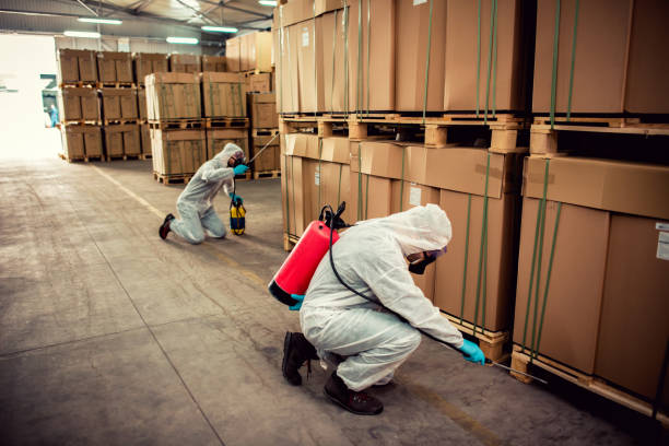 Best Pest Control Near Me  in Wakefield, MI