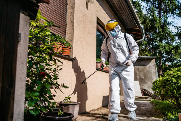 Best Emergency Pest Control  in Wakefield, MI
