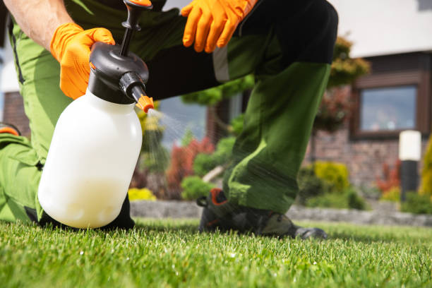 Best Pest Removal Services  in Wakefield, MI