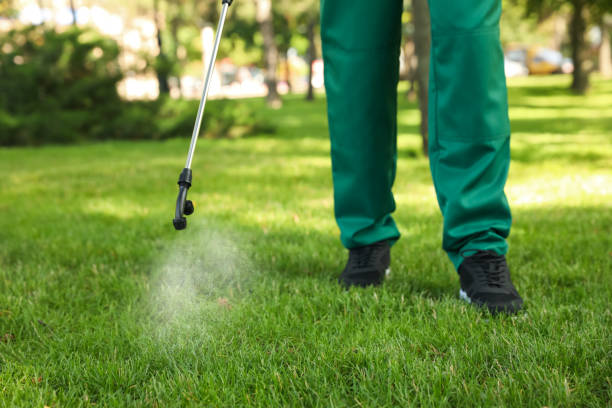 Best Best Pest Control Companies  in Wakefield, MI