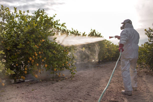 Best Pest Control Near Me  in Wakefield, MI