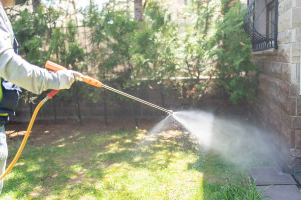 Best Affordable Pest Control Services  in Wakefield, MI