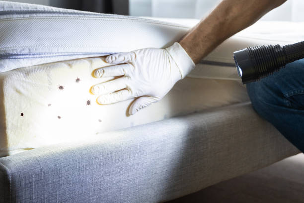 Best Pest Control for Businesses  in Wakefield, MI