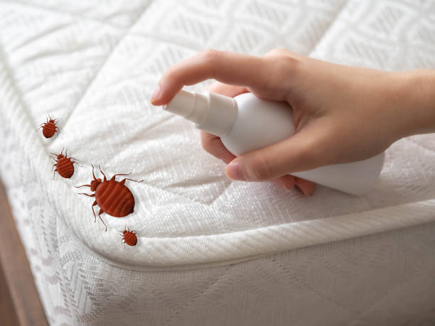 Best Exterminator Services  in Wakefield, MI
