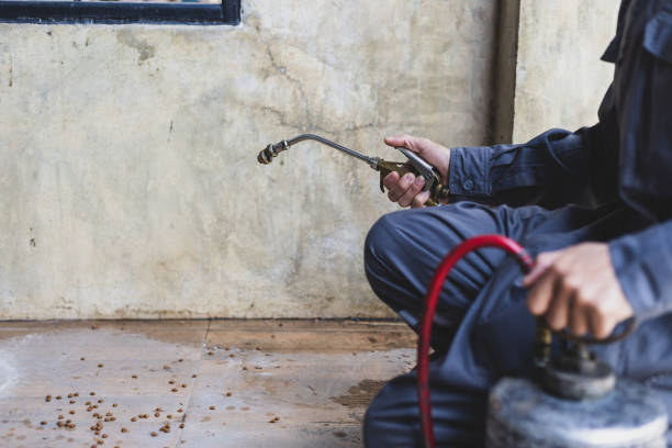 Best Best Pest Control Companies  in Wakefield, MI