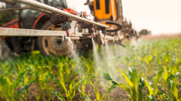 Best Pest Control Treatment  in Wakefield, MI