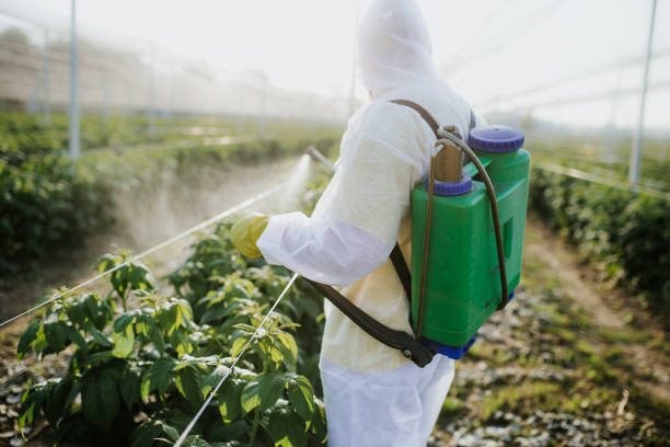 Professional Pest Control in Wakefield, MI